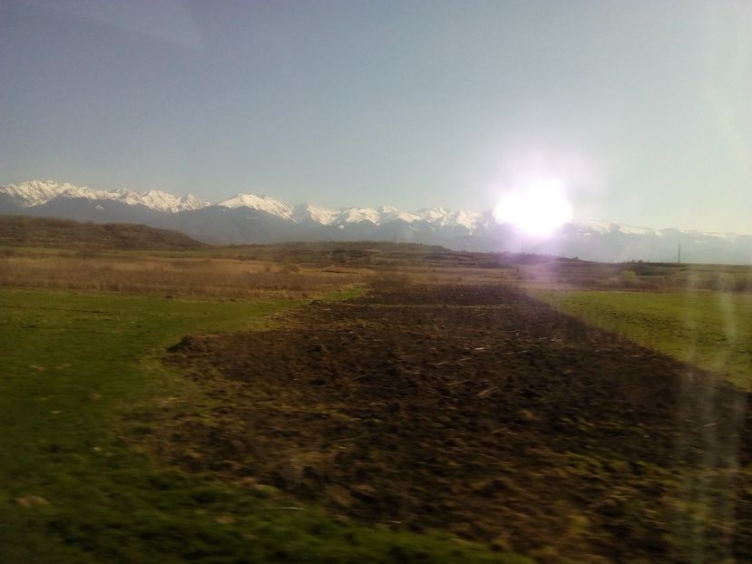  - Poze Flixbus By Eurolines Romania