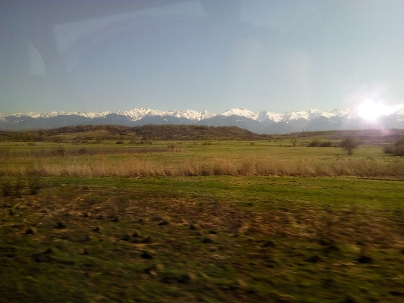  - Poze Flixbus By Eurolines Romania