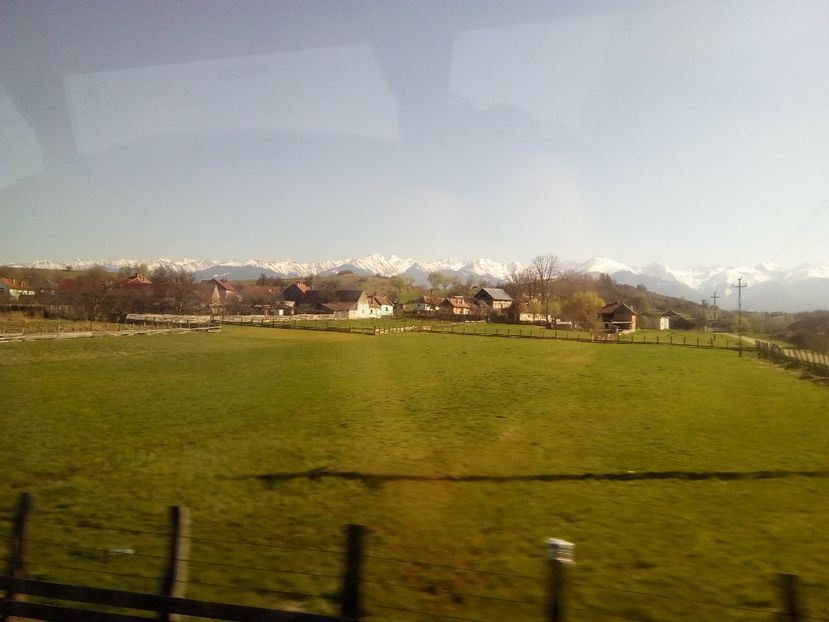  - Poze Flixbus By Eurolines Romania