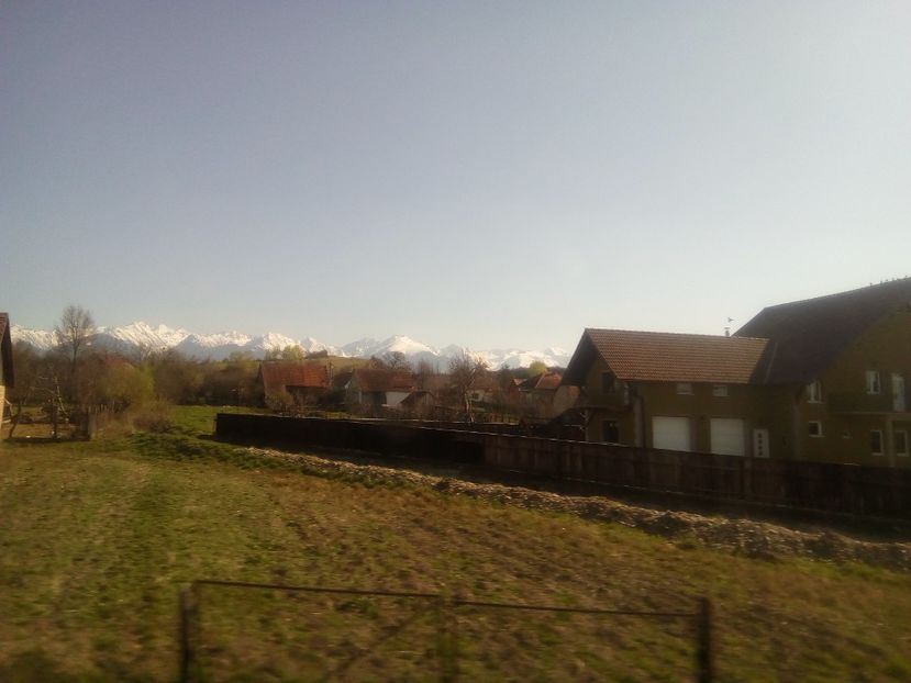  - Poze Flixbus By Eurolines Romania