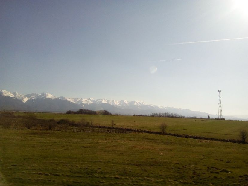  - Poze Flixbus By Eurolines Romania