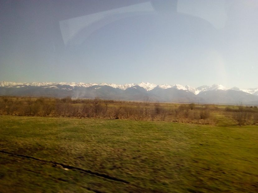  - Poze Flixbus By Eurolines Romania