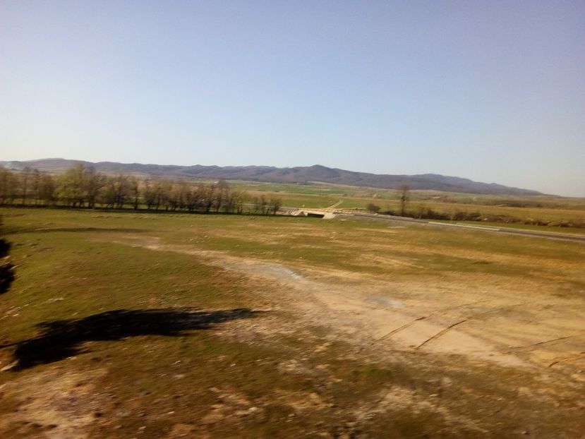  - Poze Flixbus By Eurolines Romania