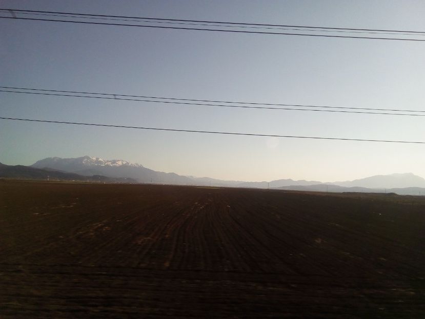  - Poze Flixbus By Eurolines Romania