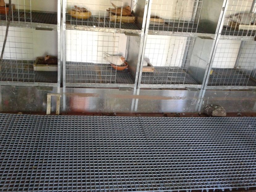 Fotografie0016 (3) - Contact