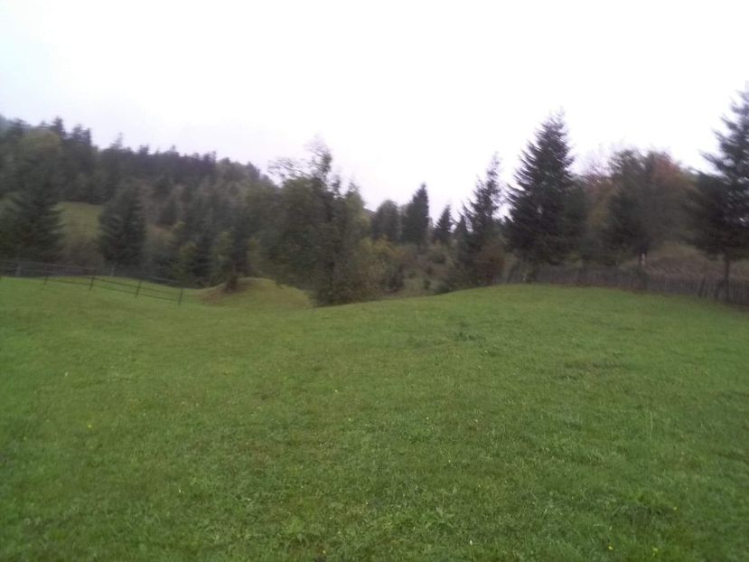 received_2129224847338948 - D Vacutele