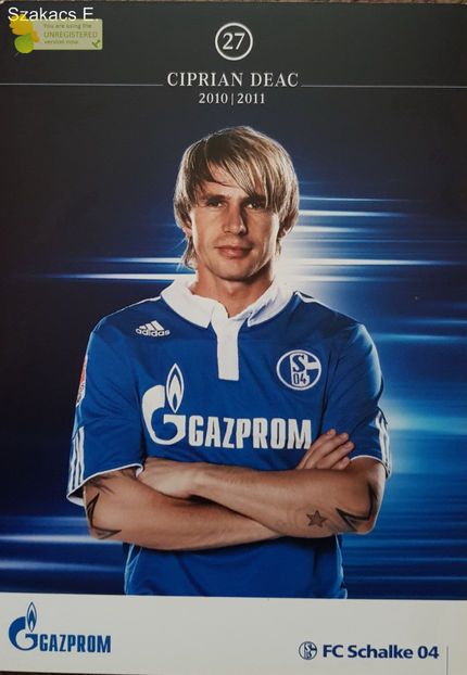 Ciprian Deac - FC Schalke 10-11 - Germania