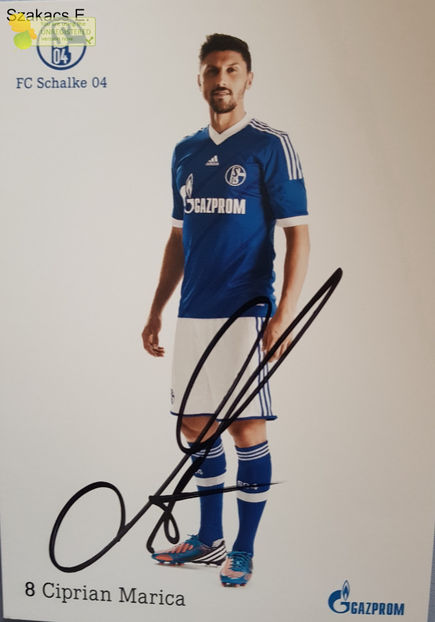 Ciprian Marica - FC Schalke 12-13 - Germania
