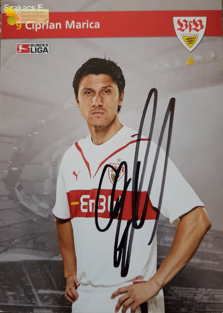 Ciprian Marica - VFB Stuttgart 09-10 - Germania