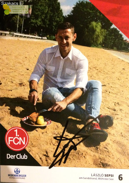 Laszlo Sepsi - FC Nunberg 16-17 - Germania