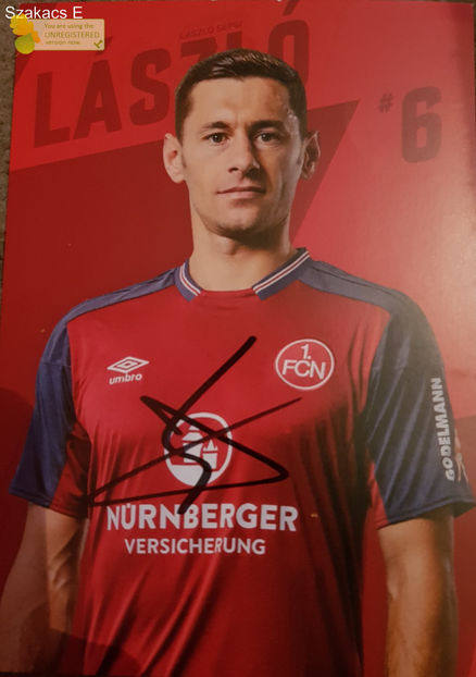 Laszlo Sepsi - FC Nunberg 17-18 - Germania