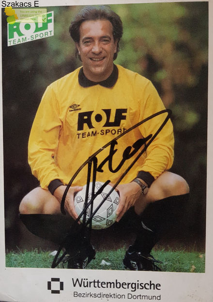 Marcel Raducanu - Borussia Dortmund. - Germania