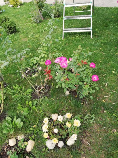  - Gradina septembrie 2018