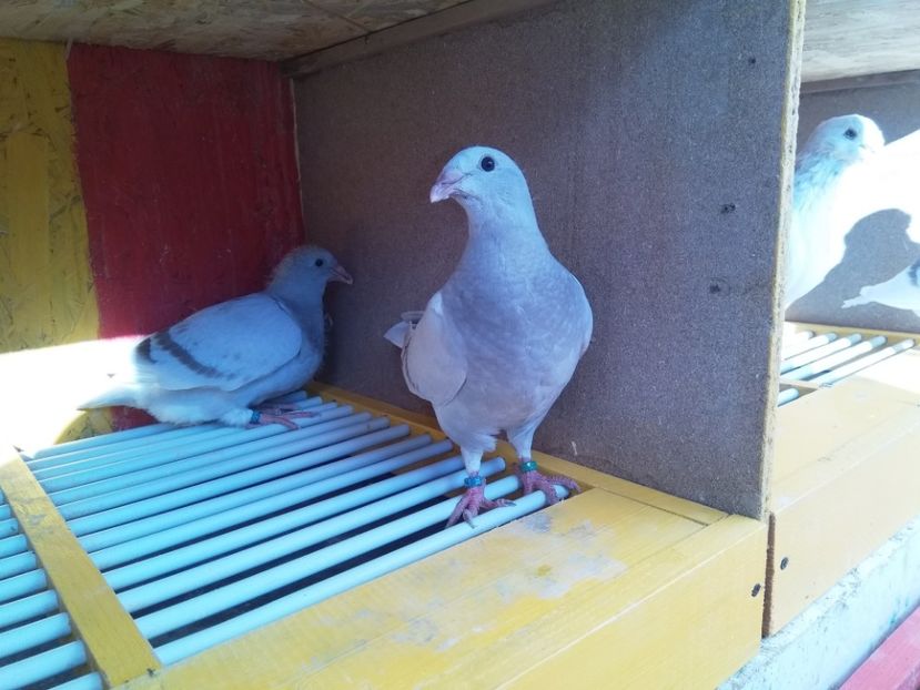  - SFÂRȘIT DE SEZON 2018