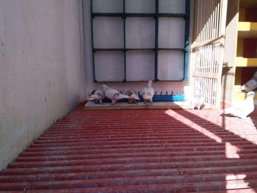  - SFÂRȘIT DE SEZON 2018