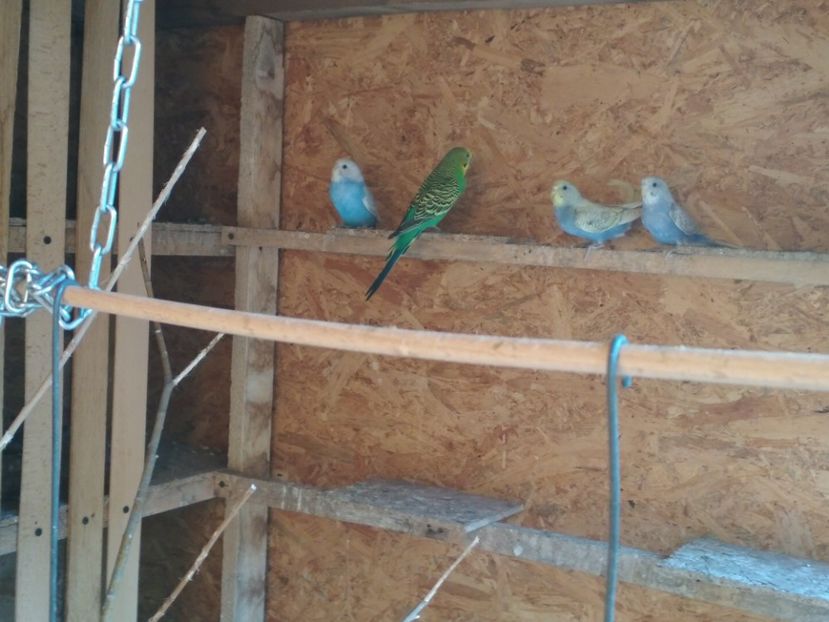  - 1 PERUSI 2018-2019