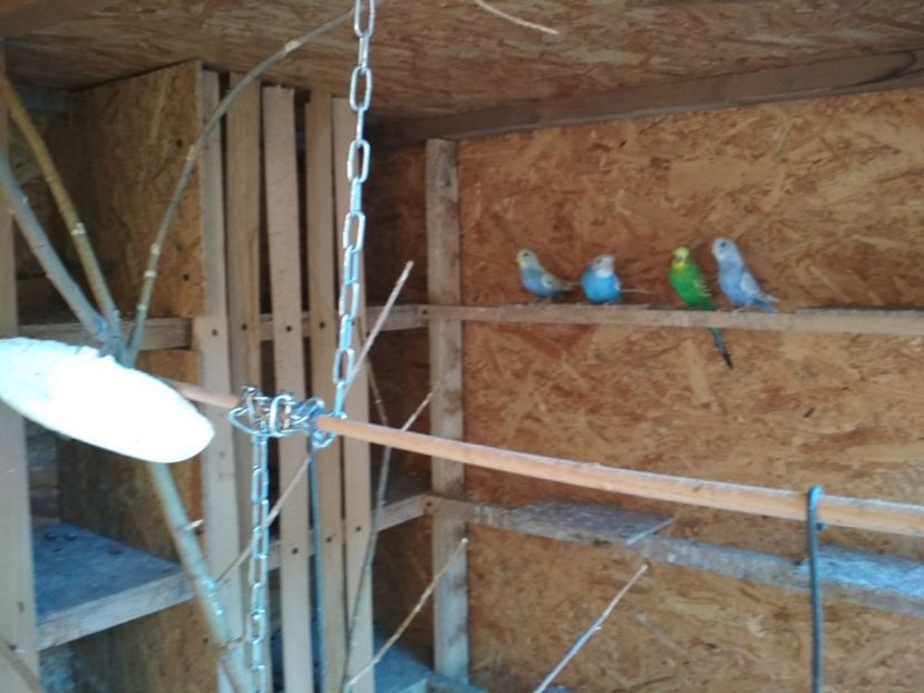  - 1 PERUSI 2018-2019