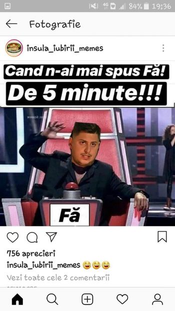  - Sezonul 4 insula iubirii - memes 1