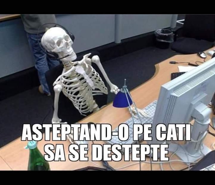  - Sezonul 4 insula iubirii - memes 1