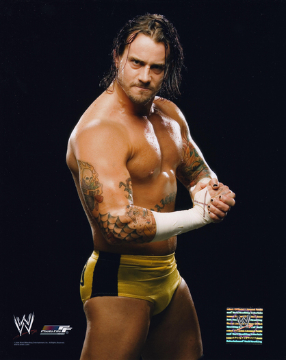 10824070_BBJHKSGXD - cm punk