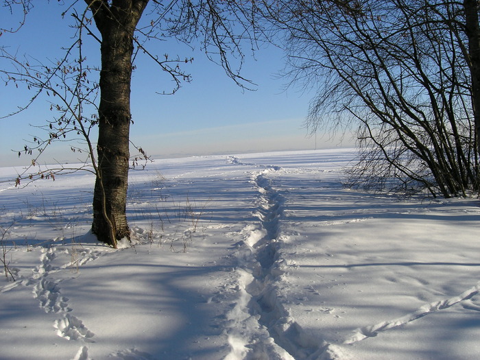 P2110426 - Iarna feb 2010 Suedia