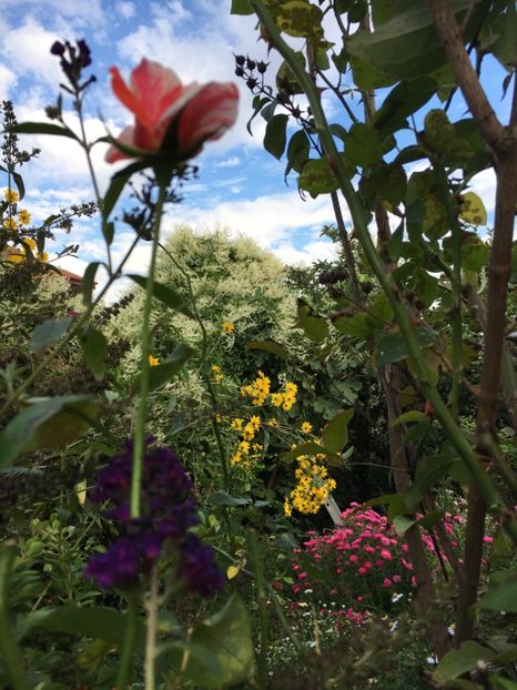 8F3CC48D-F2C4-4328-B9B2-1809343D7B0A - Septembrie 2018