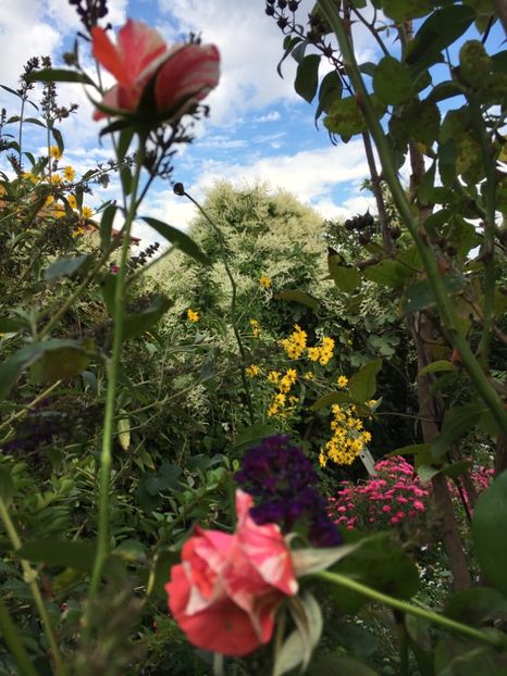 1C9DF4D2-F164-4824-B7BB-A9B2CC4E2A1B - Septembrie 2018