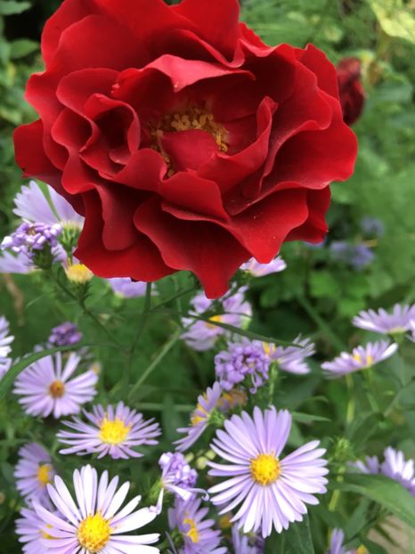 F3CDC8EA-9CA5-458E-BF17-D50744291F1A - Septembrie 2018