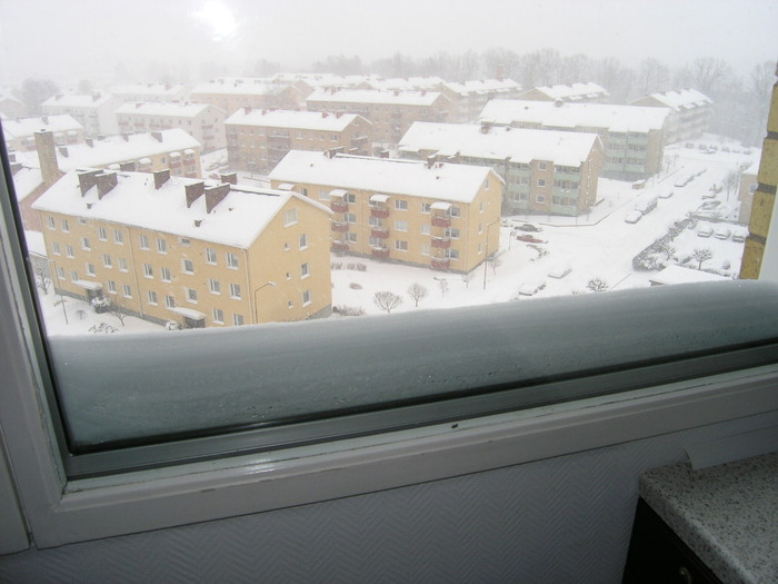 P2200438 - Iarna feb 2010 Suedia