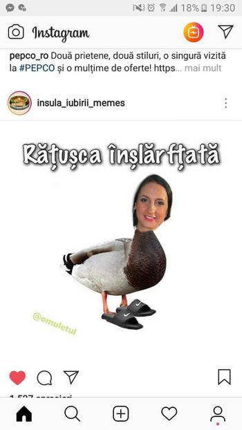  - Sezonul 4 insula iubirii - memes 1