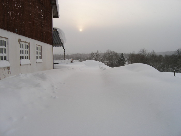 P2210454 - Iarna feb 2010 Suedia