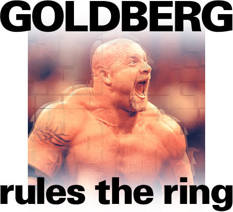 10869831_MKQGMZQER - goldberg