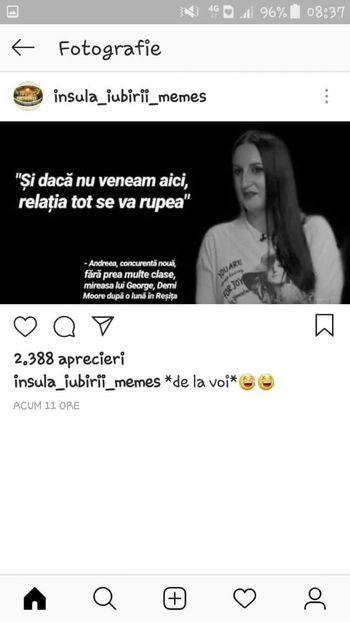  - Sezonul 4 insula iubirii - memes 1