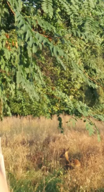  - La țară august 2018