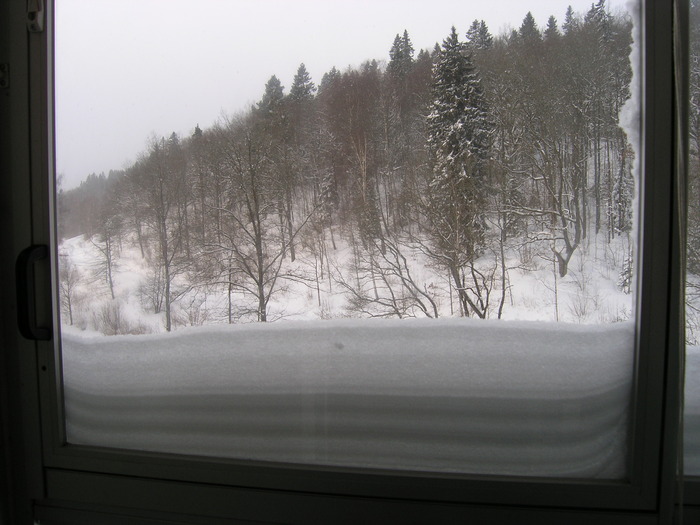 P2210469 - Iarna feb 2010 Suedia