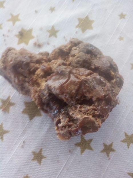 Propolis - PROPOLISUL ALBINELOR