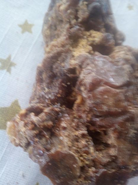 Propolis - PROPOLISUL ALBINELOR