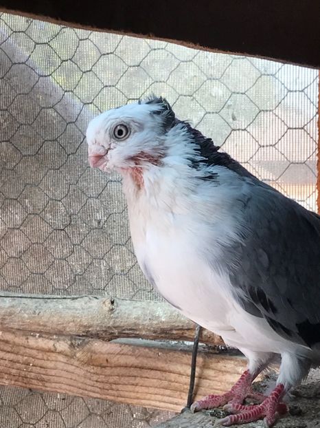 EBC00E6C-6700-4050-AABD-54CEB6190E15 - 2018