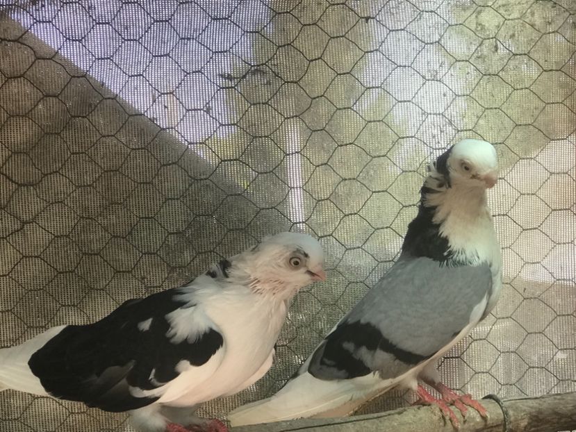 A2D601E6-4F90-4282-A4F1-F748E23617CC - 2018