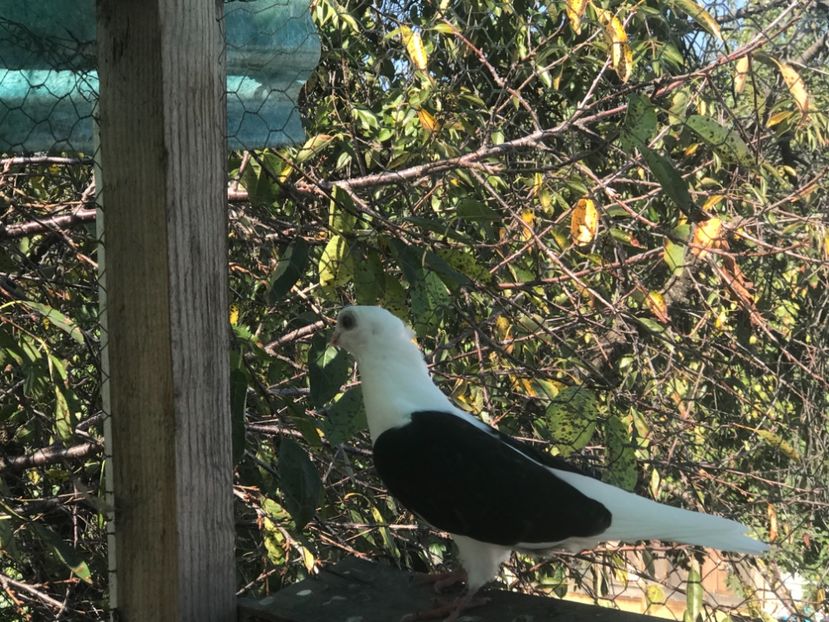 DCF05F77-DA06-4AA5-BCBF-D84C6C1AD586 - 2018