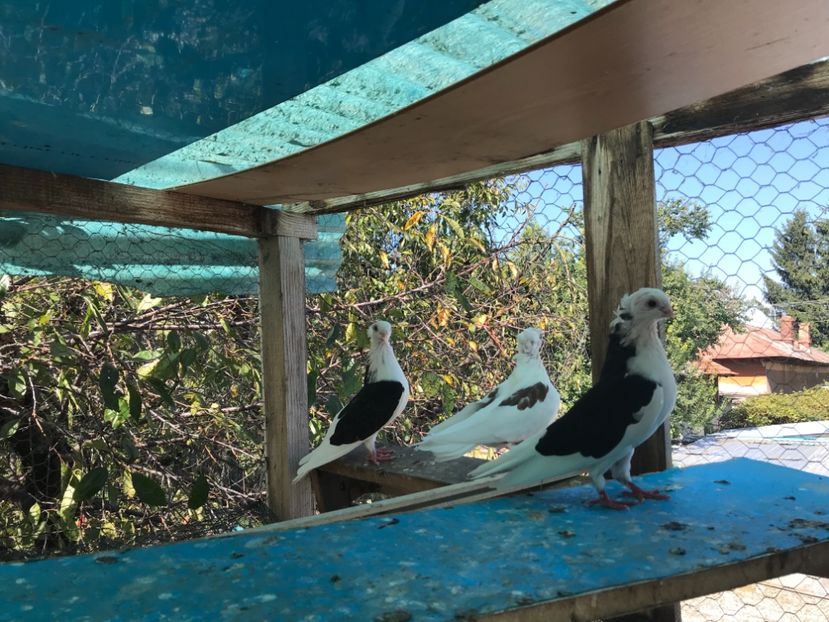 D4A6F811-A275-43FA-81DF-0E627F8F908D - 2018