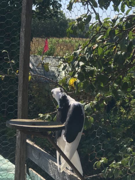 8AAD8F12-3811-4CF3-B990-479E6B93D0E1 - 2018