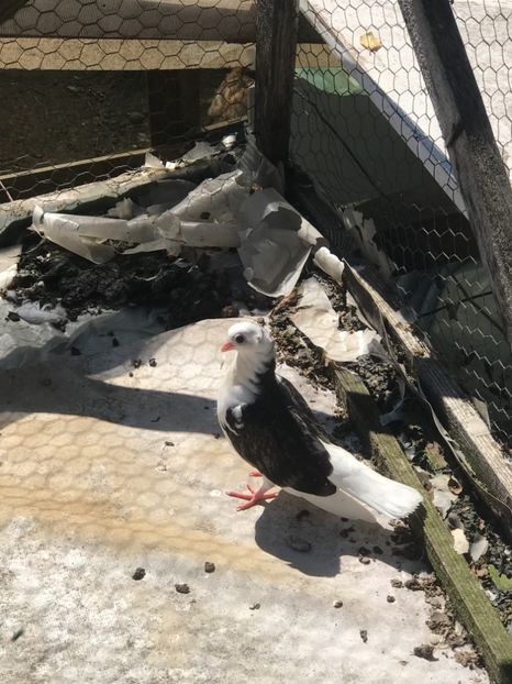 8F42026D-E875-4511-B2C1-60E09E39C9B2 - 2018