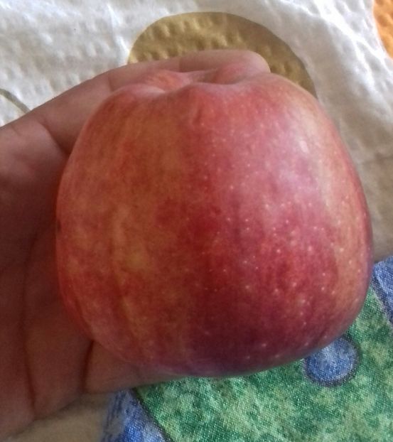 20181002_161234-1 - Starkrimson