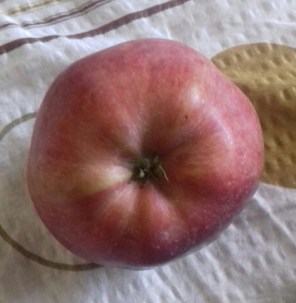 20181002_161209-1 - Starkrimson