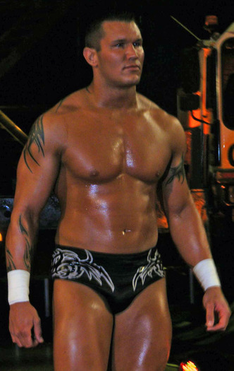 10822648_JJLBSPFNK - randy orton