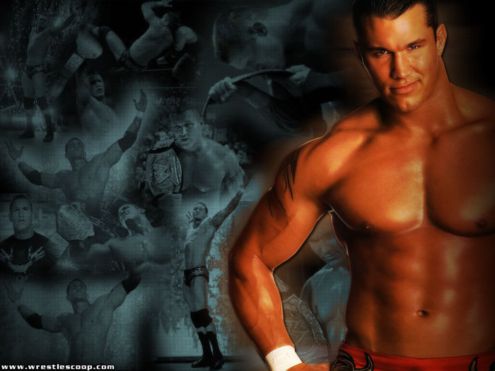 10822686_EGYOBXYVX - randy orton