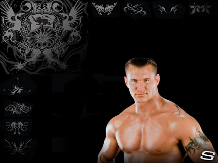 10822693_TYWJDDISF - randy orton