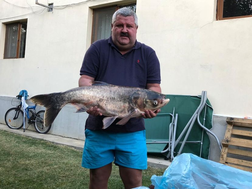 IMG-20180923-WA0000 - Capturi