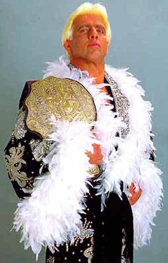 10823090_DHMODQNKA - ric flair